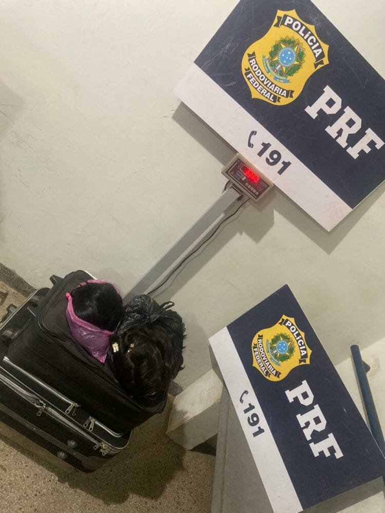 PRF apreende 70 kg de cabelo humano ilegal na BR-364 em Goiás