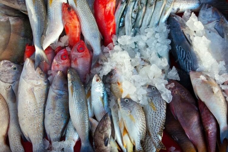 Supermercados ou Peixarias: Onde comprar pescados mais baratos?