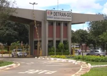 Detran inicia grande operação de limpeza de pátios e leiloará mais de 6 mil veículos