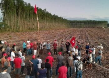 MST realiza mais invasões em 2023 do que nos últimos 4 anos