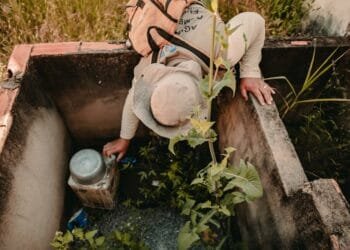 Agentes de endemias solicitam apoio da população no combate à dengue em Anápolis