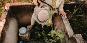 Agentes de endemias solicitam apoio da população no combate à dengue em Anápolis