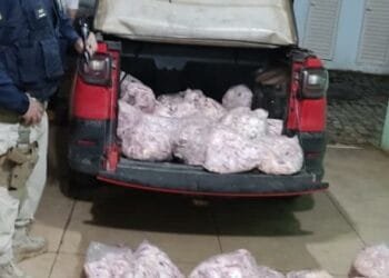 Carga de carne sem refrigeração é apreendida pela Polícia Rodoviária Federal em Goiás