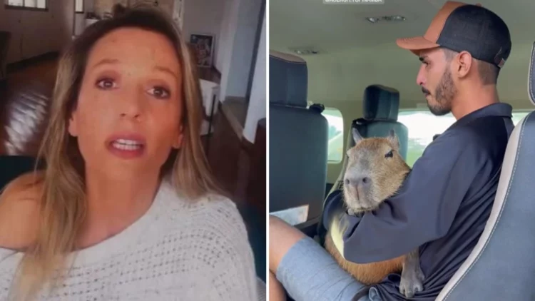 Luisa Mell é criticada por se envolver em caso da capivara Filó