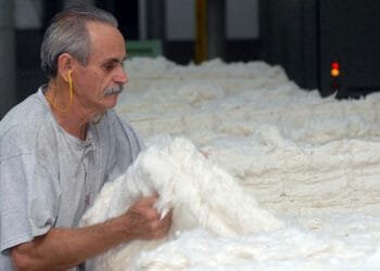 PESQUISA: Número de trabalhadores com mais de 50 anos no Brasil dobra entre 2006 e 2021