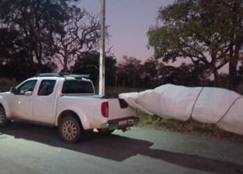 Veículo é flagrado transportando carga de forma perigosa na BR-060