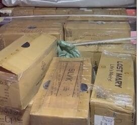 Combate ao contrabando: PRF apreende grande quantidade de cigarros eletrônicos em Goiás