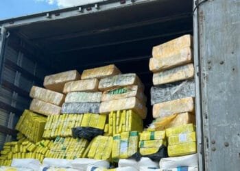 Polícia Militar apreende mais de 3 toneladas de maconha