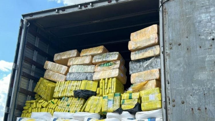 Polícia Militar apreende mais de 3 toneladas de maconha