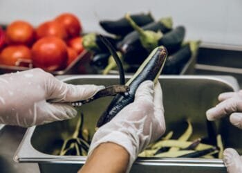 Secretaria Municipal de Saúde oferece curso de boas práticas na manipulação de alimentos em Anápolis