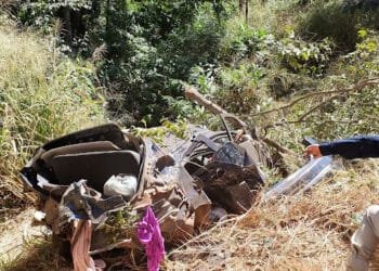Tragédia na BR-153: Acidente tira a vida de cinco pessoas da mesma família em Goiás