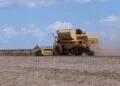 Agronegócio brasileiro fecha primeiro semestre com superávit acumulado de US$ 74 bi