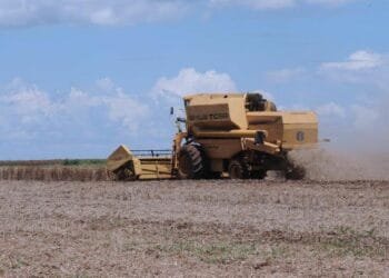 Agronegócio brasileiro fecha primeiro semestre com superávit acumulado de US$ 74 bi