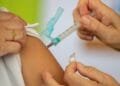 Covid-19: mais de 25 milhões de doses da vacina bivalente já foram aplicadas no Brasil