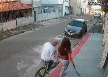 VÍDEO: Mulher sofre assédio ao passear com cachorro na rua