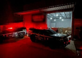Maior Apreensão do Ano: Polícia Civil de Goiás Recupera R$ 2 Milhões em Mercadorias de Cargas Furtadas