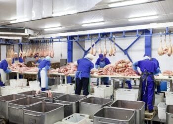 Indústria goiana registra 7ª maior alta do país