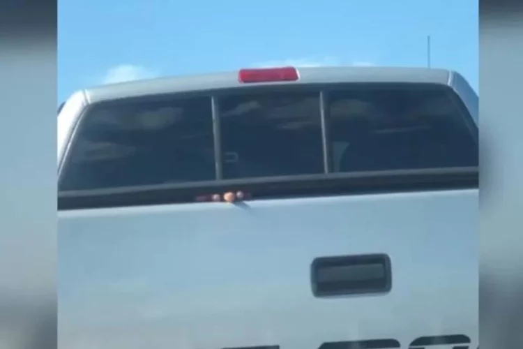 Sequestro e Resgate: Homem de 50 anos é encontrado amarrado na carroceria da própria caminhonete após ser enganado por adolescente