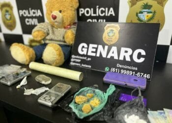 Operação Policial Desmantela Ponto de Venda de Drogas em Lava-Jato: Drogas escondidas em urso de pelúcia e prontas para venda