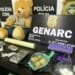 Operação Policial Desmantela Ponto de Venda de Drogas em Lava-Jato: Drogas escondidas em urso de pelúcia e prontas para venda