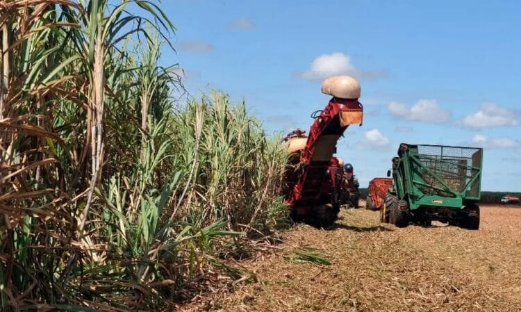 PIB do agronegócio brasileiro recua 0,94% em 2023