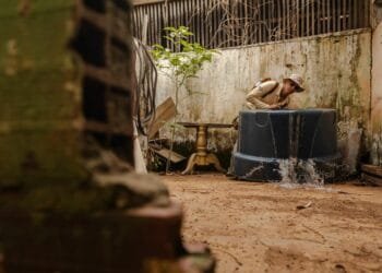 Vigilância redobrada: Dengue desperta preocupação com o início das chuvas