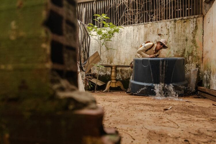 Vigilância redobrada: Dengue desperta preocupação com o início das chuvas