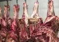 Geração de emprego: agro cria postos de trabalho em todo o país