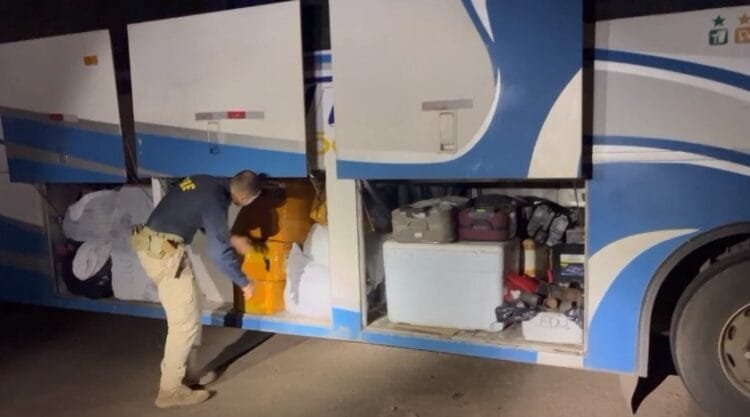 PRF apreende milhares de produtos sem nota fiscal em ônibus na BR-153