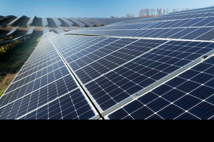 Investimentos em energia solar devem ultrapassar R$ 38,9 bi em 2024, segundo Absolar