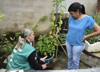 DENGUE EM GOIÁS: não espere os sintomas se agravarem para procurar atendimento