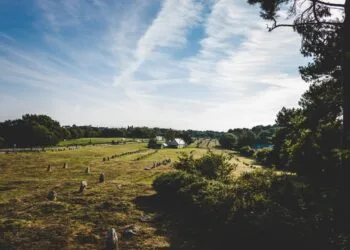 Projeto de lei proíbe que invasores de terra recebam benefícios do governo, como o Bolsa Família