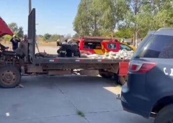 Caminhoneiro é preso em flagrante por tráfico de drogas na BR-060