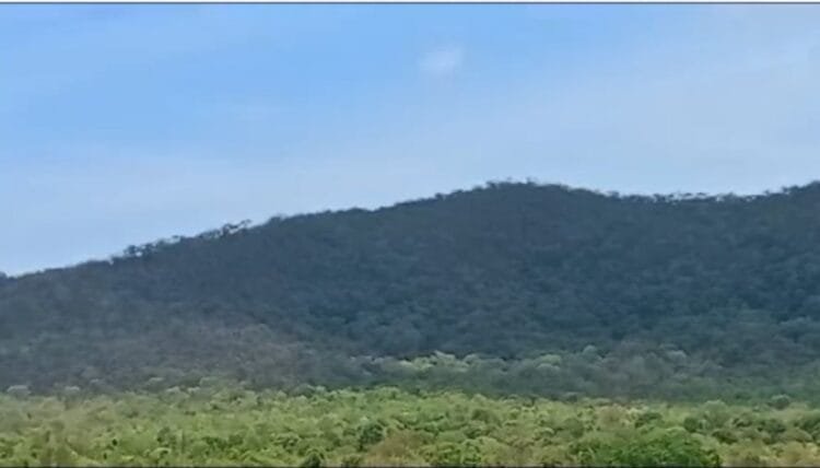 Dois homens são resgatados após se perderem em área de mata em Goiás