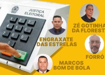 Solteiro e Soneca Paredão: nas eleições de 2024, candidatos com nomes divertidos chamam atenção