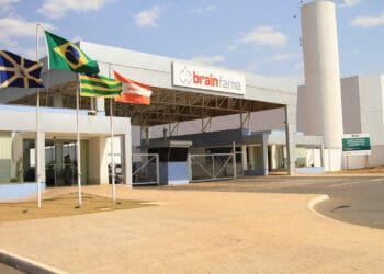 Brainfarma abre inscrições para Programa de Estágio 2025 com salário de até RS2.400,00