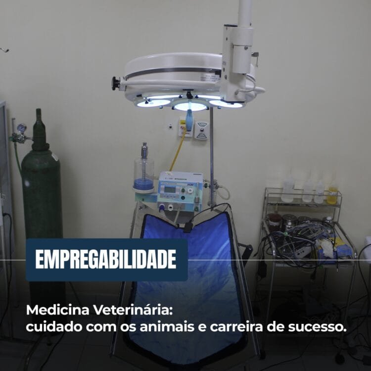 Medicina Veterinária na FAMA: Cuidado com os animais e carreira de sucesso