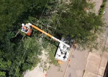 Quedas de árvores em Goiás disparam com chuvas intensas e ameaçam rede elétrica