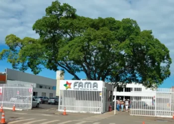 Unifama e Hemocentro transformam doação de sangue em lição de cidadania para futuros profissionais da saúde