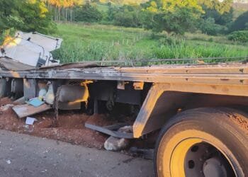 Caminhão carregado de palmito tomba na BR-153 após estouro de pneu e interdita rodovia