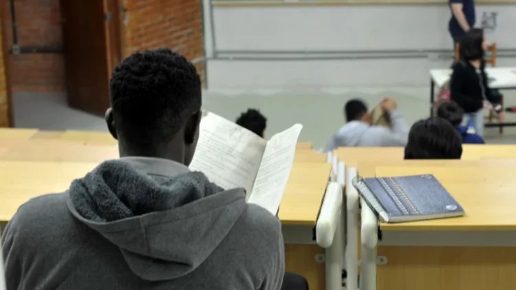 Educação: 32,5% dos municípios brasileiros estão na faixa de baixo desenvolvimento