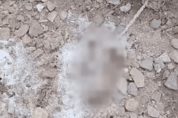 Polícia investiga morte de bebê encontrado às margens de rio