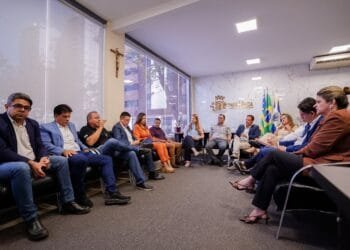 Câmara de Anápolis cria Frente Parlamentar para enfrentar caos nos fios após morte de criança