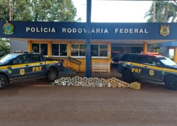 PRF intensifica fiscalização nas rodovias goianas e apreende mais de 170 kg de drogas após acidente fatal