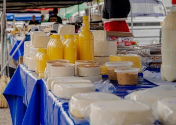 Anápolis terá selo próprio para certificar qualidade de produtos de origem animal a partir de 2026