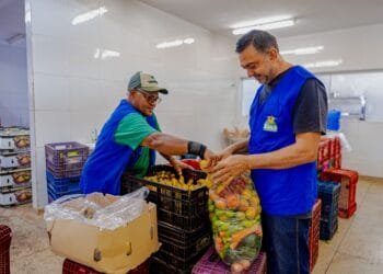 Do campo à mesa: Banco de Alimentos entrega mais de mil cestas verdes por mês a famílias em situação de vulnerabilidade em Anápolis
