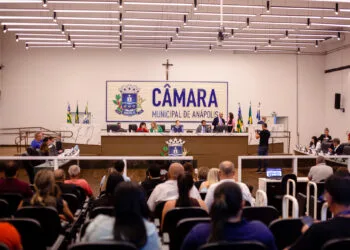 Economia, saúde, causa animal e educação dominam debates na Câmara de Anápolis