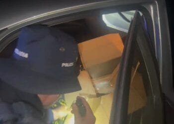 PRF apreende 160 quilos de maconha na BR-060 e prende suspeito de tráfico em Goianápolis