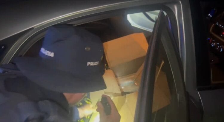 PRF apreende 160 quilos de maconha na BR-060 e prende suspeito de tráfico em Goianápolis