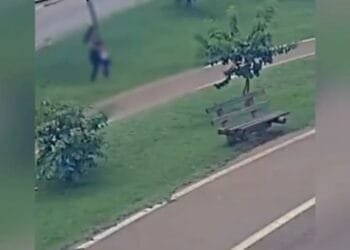 Mulher é presa após abandonar filho de 2 anos no Parque da Jaiara, em Anápolis